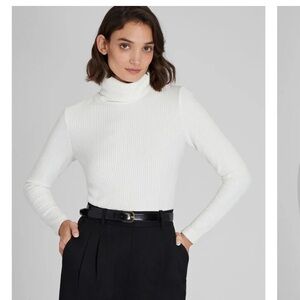 Club Monaco fitted turtleneck sweater
